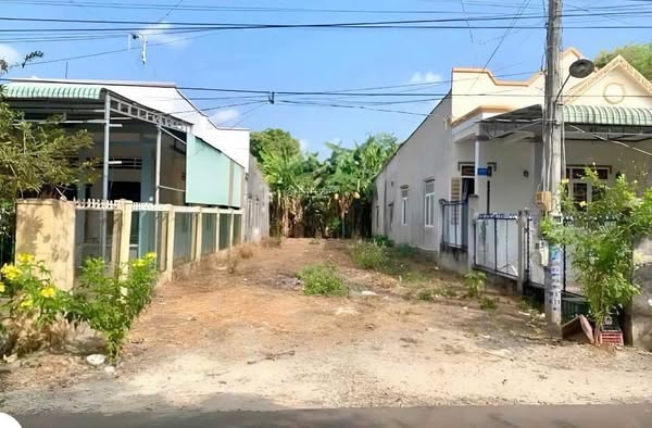 Bán miếng đất sổ hồng riêng chính chủ 100m2 bình chánh giá 1,3 tỷ - Ảnh chính